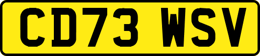 CD73WSV
