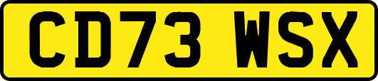 CD73WSX