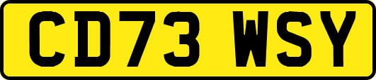 CD73WSY