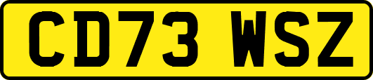 CD73WSZ