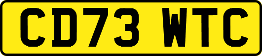 CD73WTC