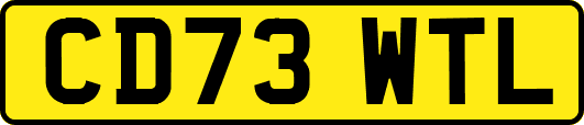 CD73WTL