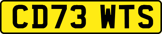 CD73WTS