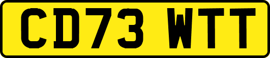 CD73WTT