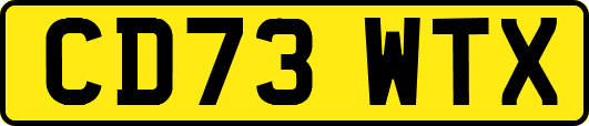 CD73WTX