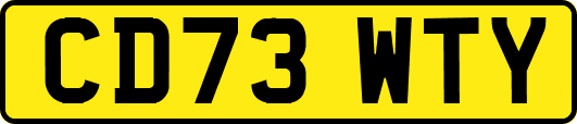 CD73WTY