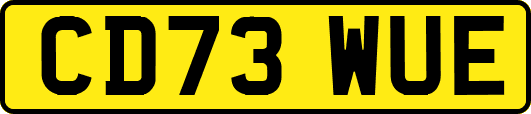 CD73WUE