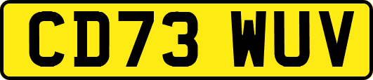 CD73WUV