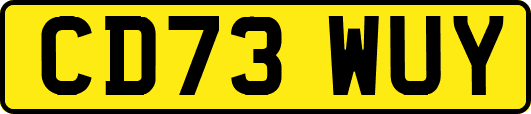 CD73WUY