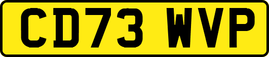 CD73WVP