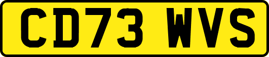 CD73WVS