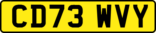 CD73WVY