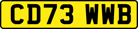 CD73WWB