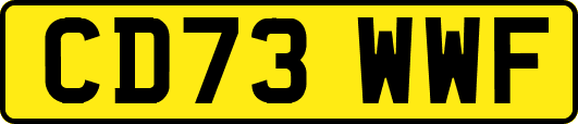 CD73WWF