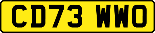 CD73WWO
