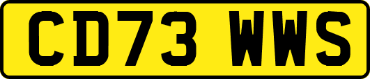 CD73WWS