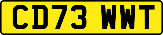 CD73WWT