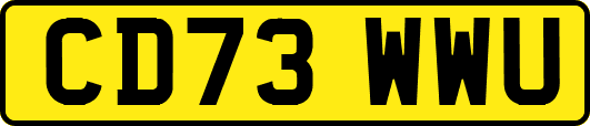 CD73WWU