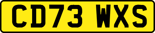 CD73WXS