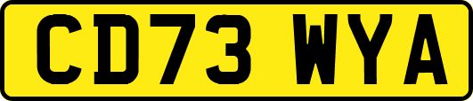 CD73WYA