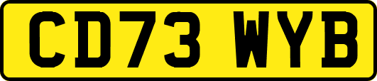 CD73WYB