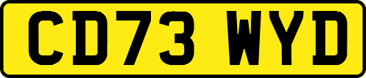 CD73WYD