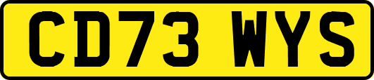 CD73WYS