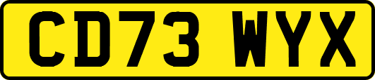 CD73WYX