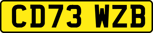 CD73WZB