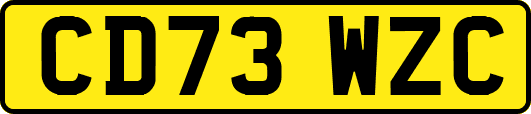 CD73WZC