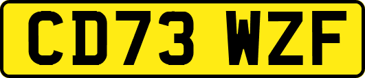 CD73WZF