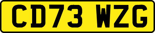 CD73WZG
