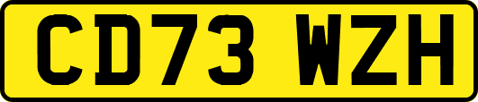 CD73WZH
