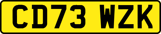 CD73WZK