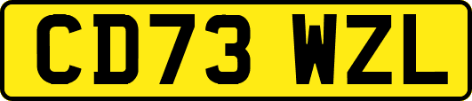 CD73WZL
