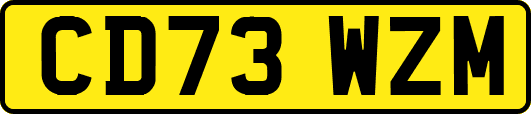CD73WZM