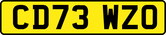 CD73WZO