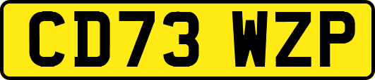 CD73WZP
