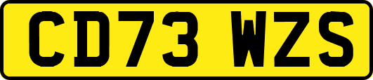 CD73WZS