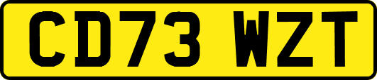 CD73WZT