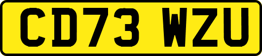 CD73WZU