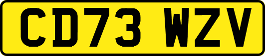 CD73WZV