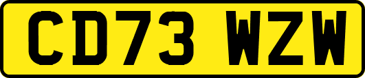CD73WZW
