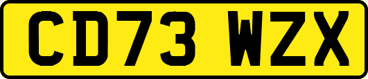 CD73WZX