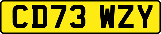 CD73WZY