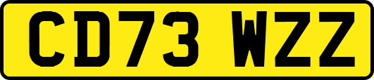 CD73WZZ