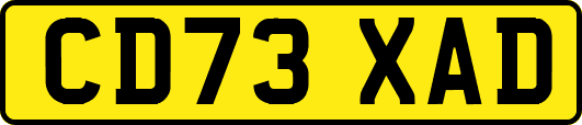 CD73XAD