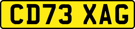 CD73XAG