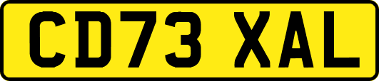 CD73XAL