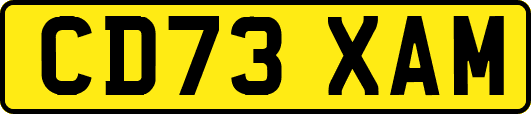 CD73XAM